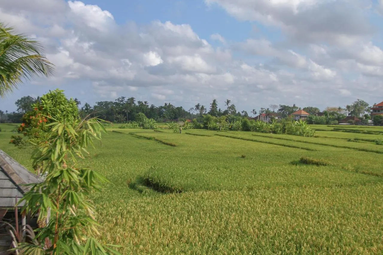 Bed & Breakfast Kubu Sari Ubud