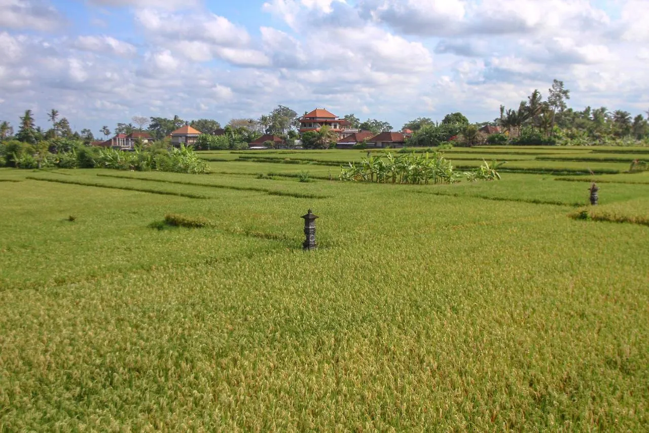 Bed & Breakfast Kubu Sari Ubud Indonesia