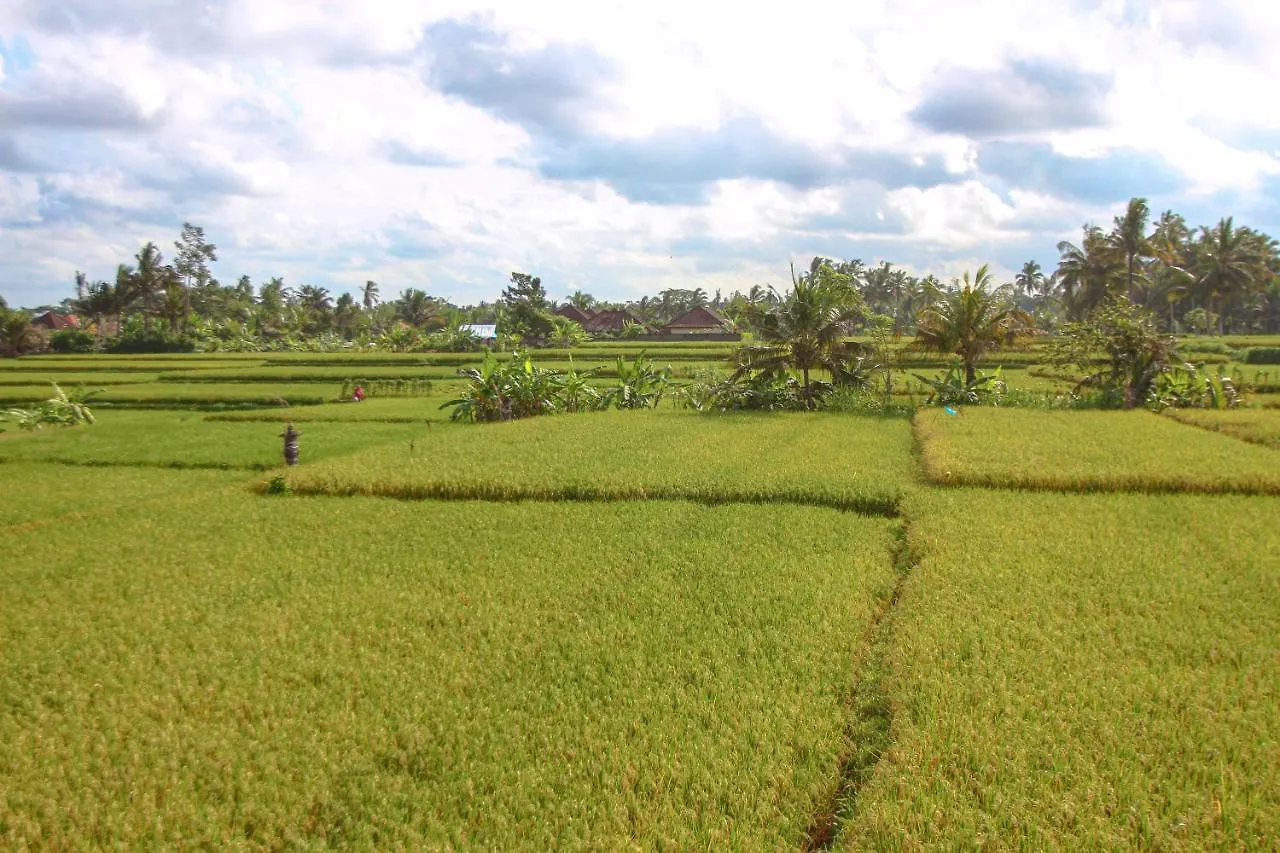 Bed & Breakfast Kubu Sari Ubud
