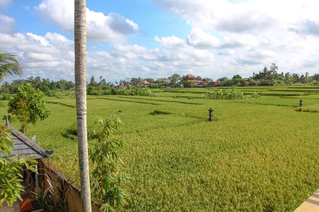Bed & Breakfast Kubu Sari Ubud Indonesia